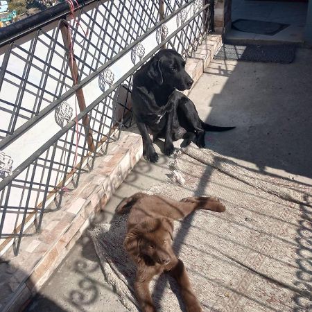Mehra Cottage Almora Buitenkant foto