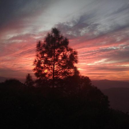 Mehra Cottage Almora Kamer foto