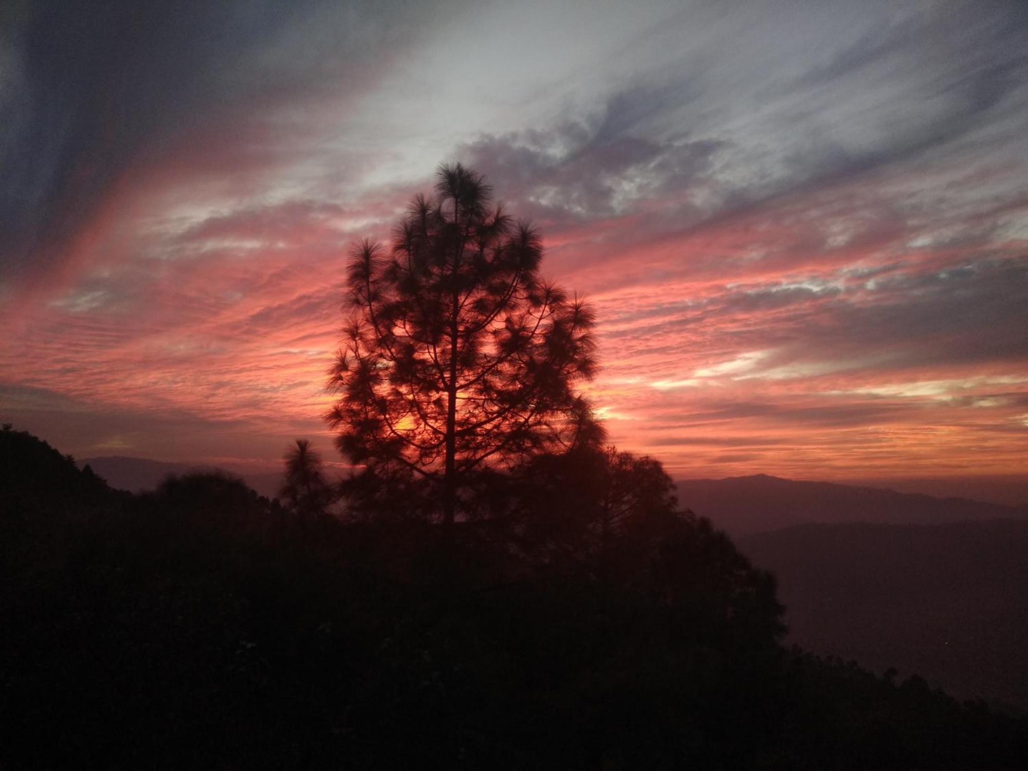 Mehra Cottage Almora Kamer foto